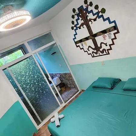 La casa del sueño-3
