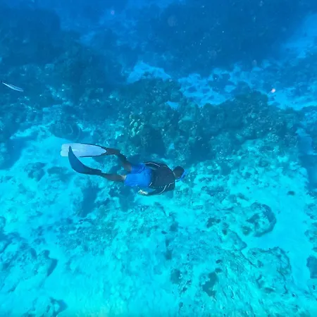 The Explorean Cozumel All Inclusive-3