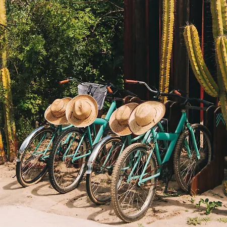 Hotel Escondido, Puerto Escondido - Adults Only-2