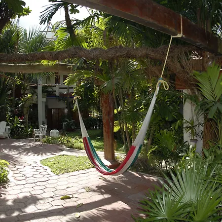Eco-hotel El Rey del Caribe-2