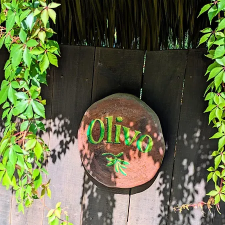 Posada Olivo-2
