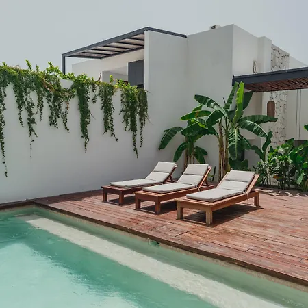 Ah Xok suites 5a Avenida-2