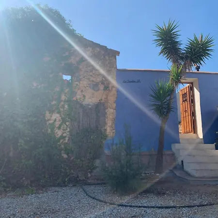 El Oasis de los Jarales-3