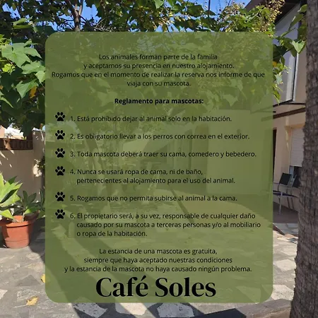 Alojamiento Café Soles-3