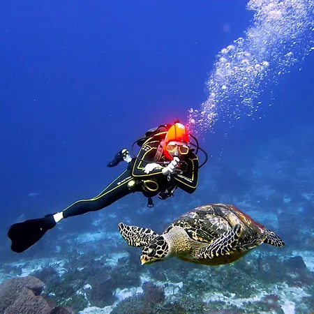 Mi Refugio Dive House-3