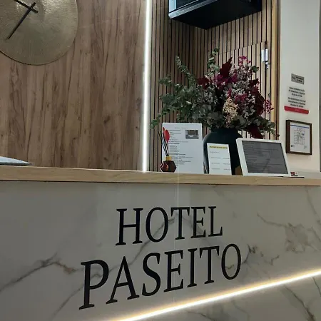 Hotel Paseito-2