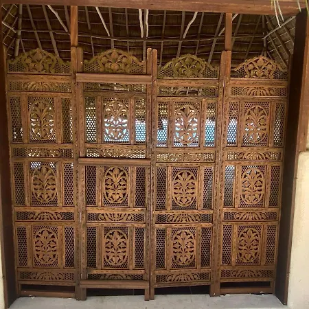 Palapa Ganesh-3
