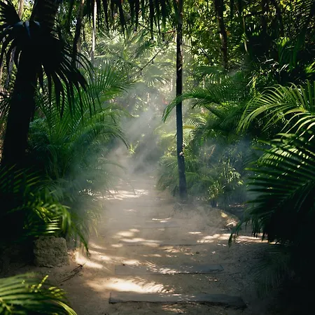 Nomade Temple Tulum-2