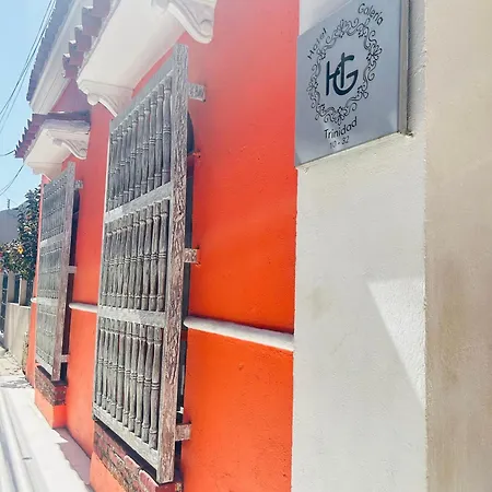 Hotel Galeria la Trinidad-2