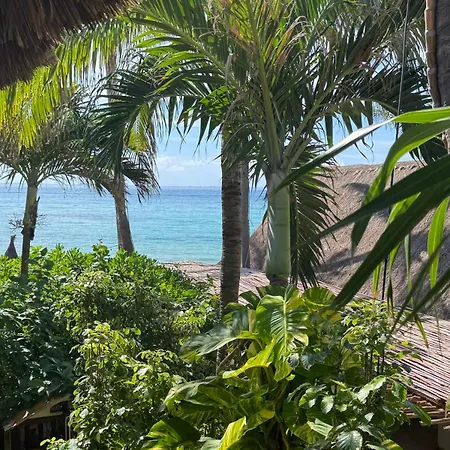 Hotel Casa Colibri-3