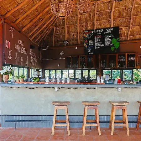 Viajero Sayulita Hostel-3
