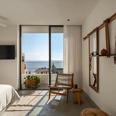 The Tryst Puerto Vallarta Lgbt Hotel-2