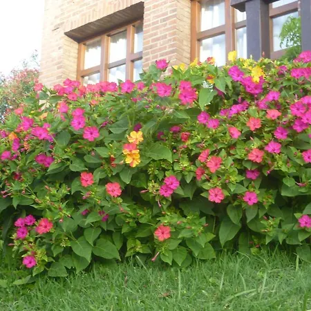 Acquamarina Hotel-3