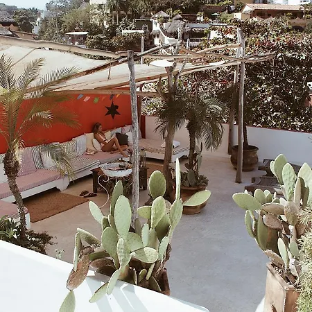 Petit Hotel Hafa-3