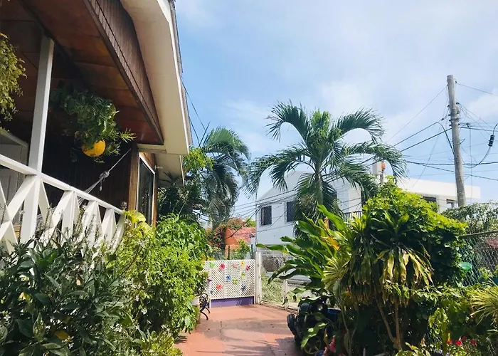 Villa acacias tree San Andrés