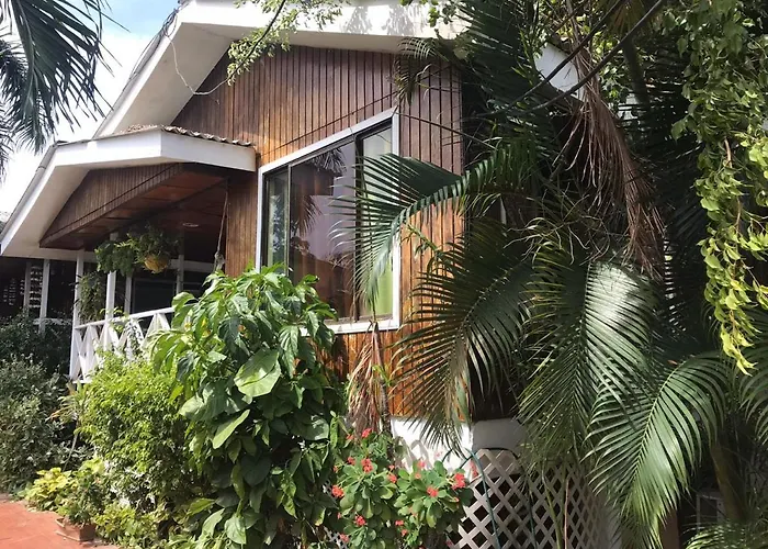 Villa acacias tree San Andrés