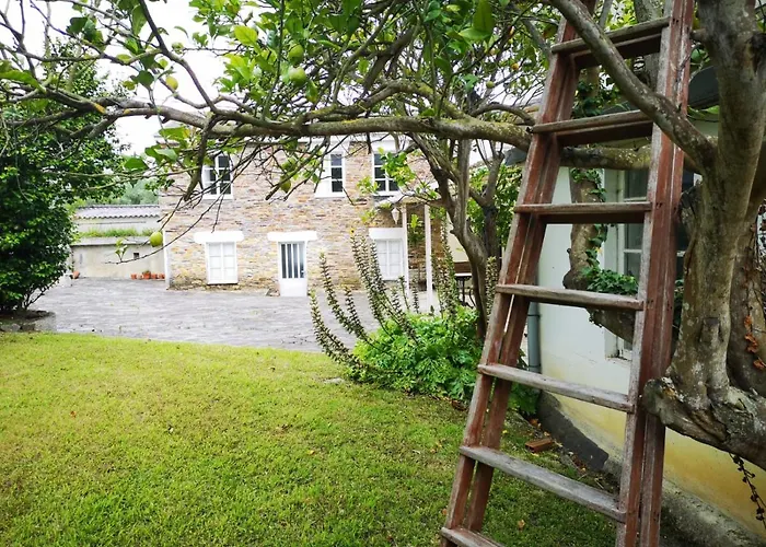 Hotel Amadora - Admite mascotas Barreiros