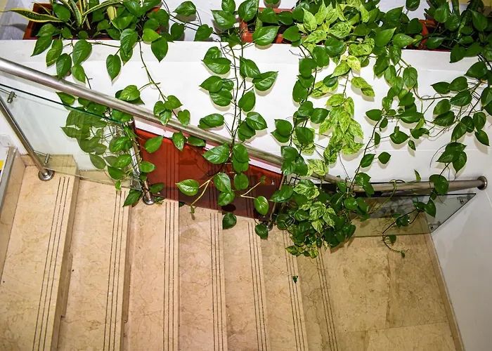 Hotel Isla Capri Cartagena