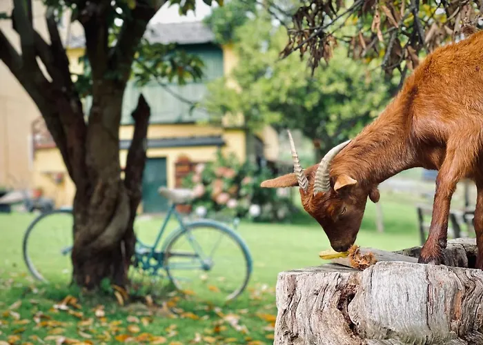 Hotel Casa Da Roxa Foz