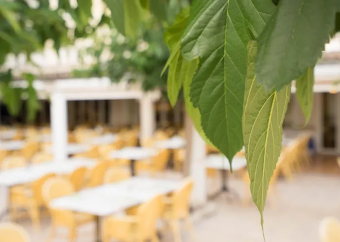 Hotel Houm Nets - Adults Only Playa de Palma 