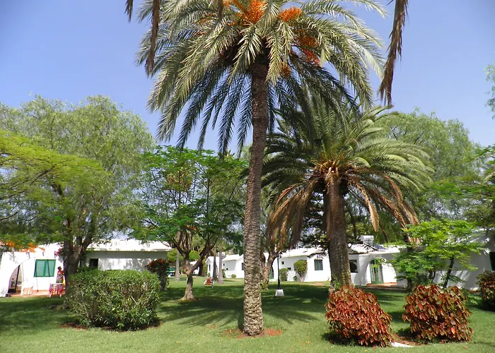 Canary Garden Club Maspalomas 