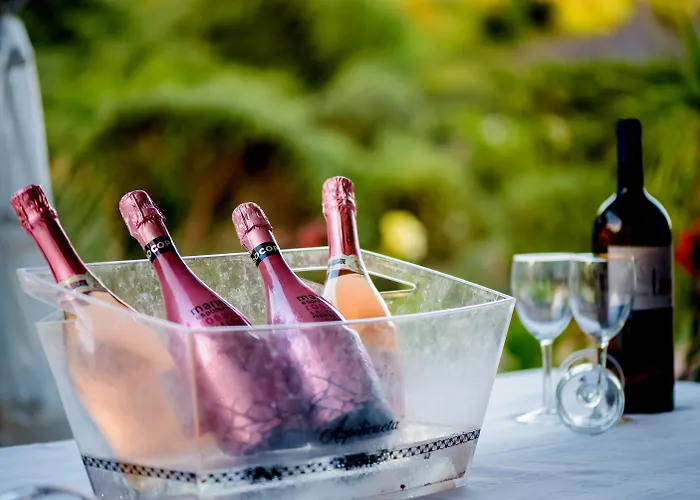 Hoteles PlayaSercotel Bonalba Alicante 4*S