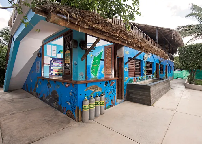 Hotel Iberostar Waves Cozumel