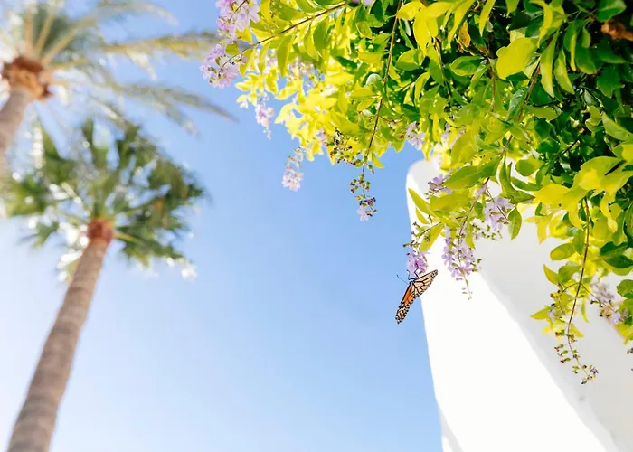 HD Parque Cristobal Tenerife Playa de las Américas