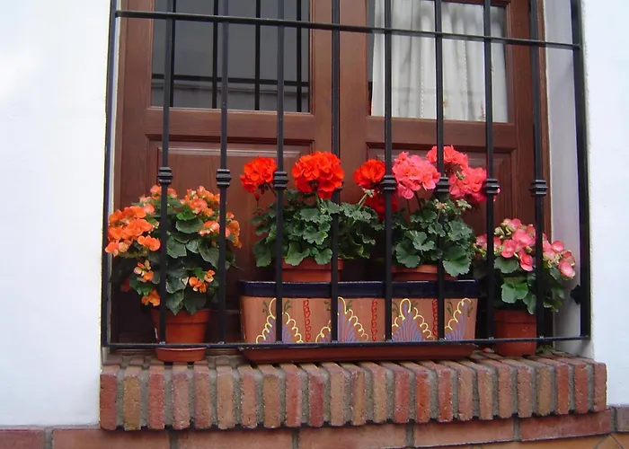 Hoteles PlayaAl-Andalus