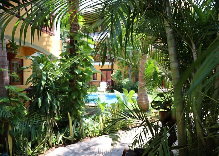 Hotel Bosque Caribe, 5Th Av. Zone Playa del Carmen