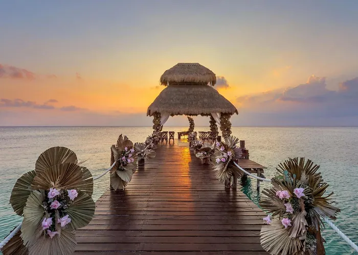 Hotel Secrets Aura Cozumel - Adults Only