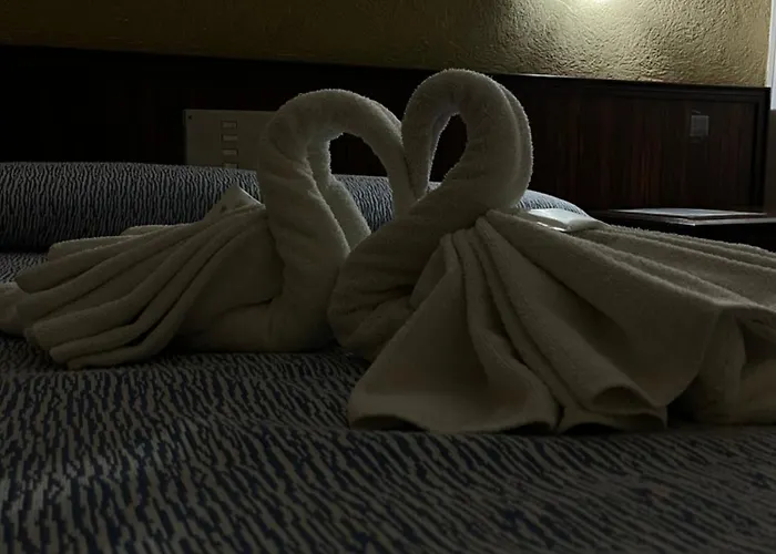 Hotel Flamingo Mar del Plata