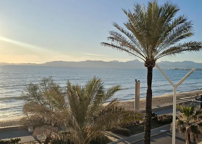 Hotel Q-Royal Skylounge Playa de Palma 