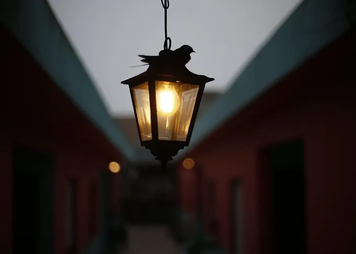 Carrusel Art-Hostel Mar del Plata