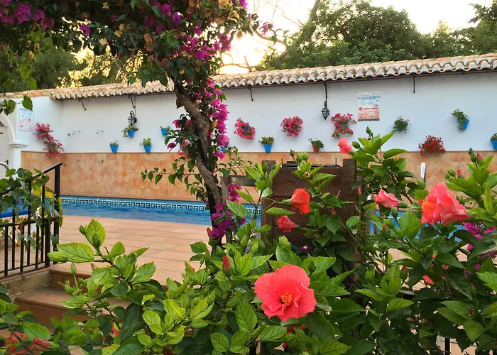 Hotel Carmen Teresa Torremolinos