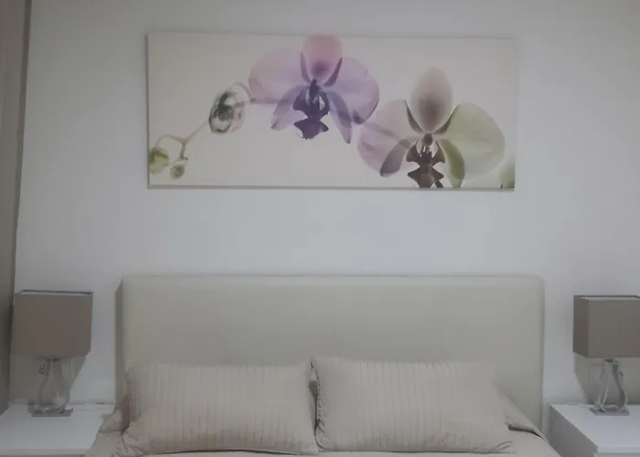 Pensión Alemania Alicante