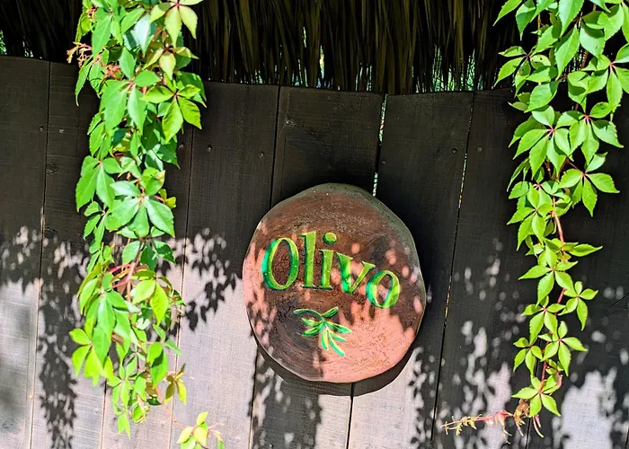 Posada Olivo Mazunte