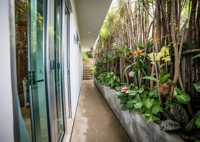 Hotel Anjali Casa Divina Sayulita