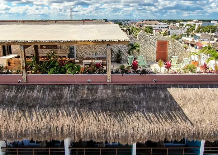 Hoteles PlayaLa Palmita By Mij