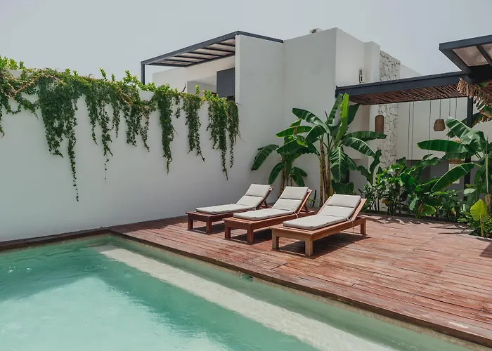 Ah Xok suites 5a Avenida Playa del Carmen
