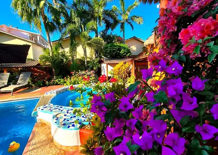 Hotelito Swiss Oasis, Playa Zicatela - Adults Only - Kitchen - Cocina Puerto Escondido 