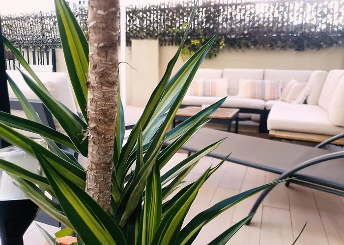 Zalamera Bnb Valencia