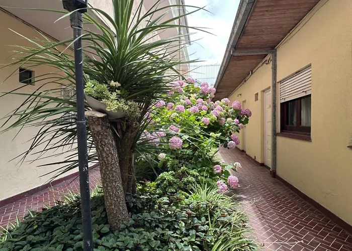 Hotel Saona Mar del Plata