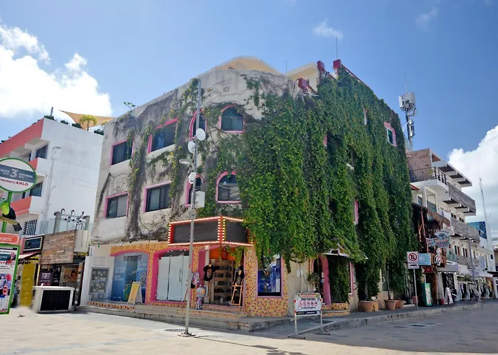 Hotel Casa Delfin Playa del Carmen
