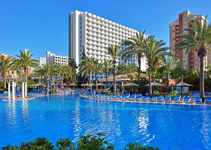 Sol Pelicanos Ocas Benidorm