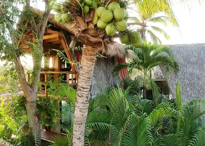 A&V Hotel Boutique Acapulco