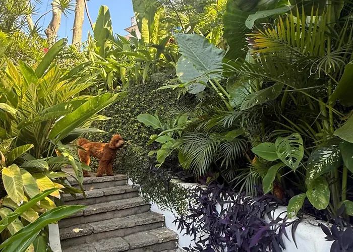 Raro Ipanema Boutique Hotel Río de Janeiro