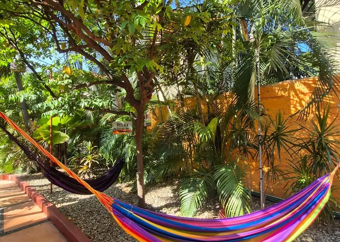 Hotelito Swiss Oasis, Playa Zicatela - Adults Only - Kitchen - Cocina Puerto Escondido 