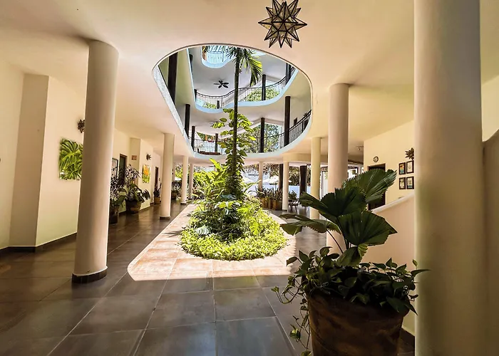 Hotelito Los Sueños Sayulita