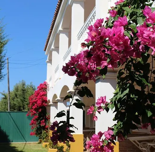 Apartamentos Bolonia Paraiso